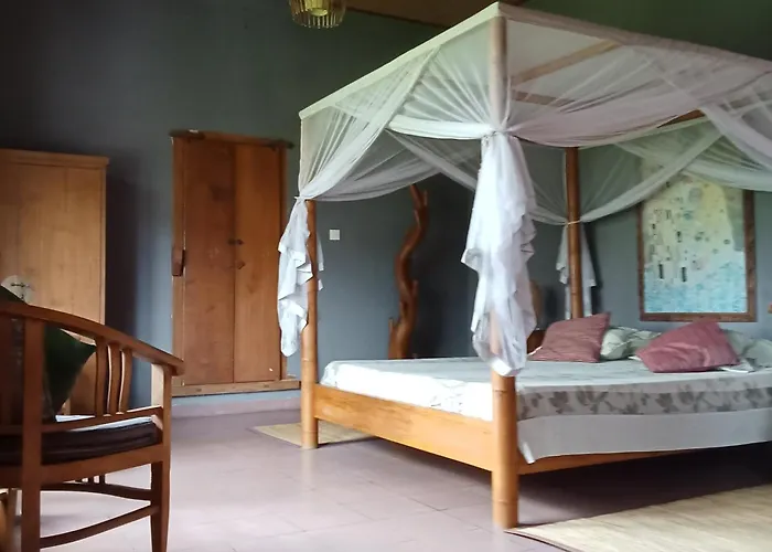 Bella 2* Ubud